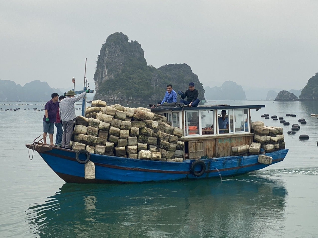 Phao xốp vứt tràn lan trên vịnh Bái Tử Long khiến du khách ngán ngẩm