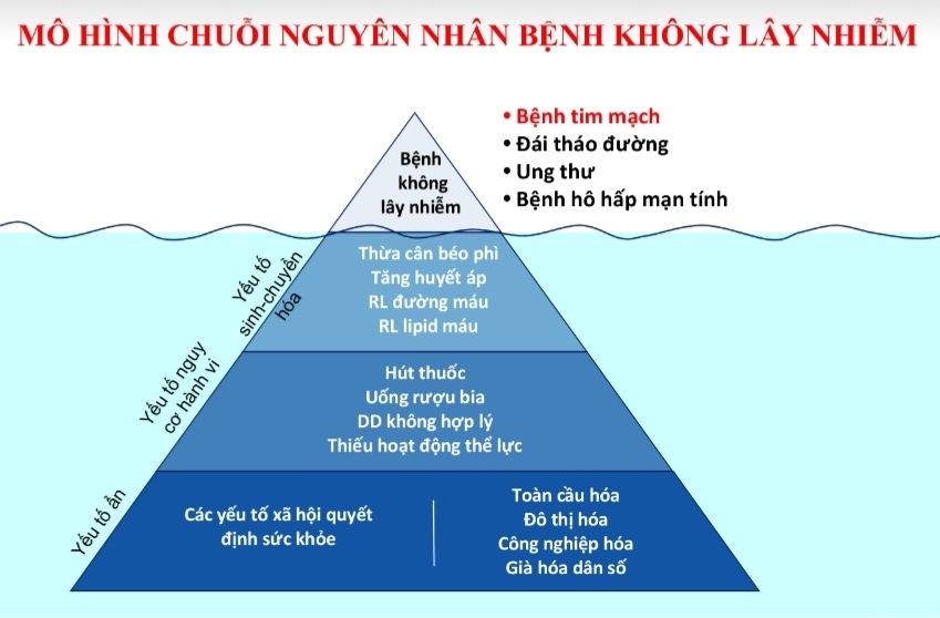 Việt Nam đang đối mặt với sự gia tăng của những căn bệnh không lây nhiễm