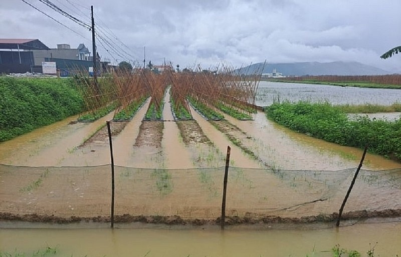 Thanh Hóa Mưa lũ làm 2 người mất tích, cuốn trôi nhiều tài sản giá trị