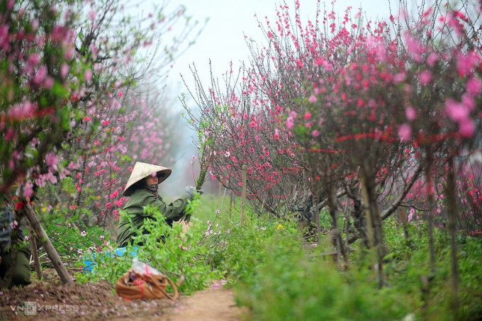 Liên Hợp Quốc công nhận Tết Nguyên đán là ngày nghỉ lễ