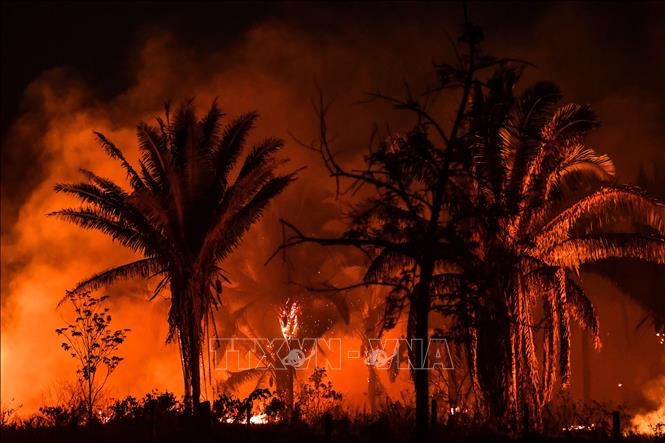 Rừng Amazon tại Brazil có số vụ cháy kỷ lục với gần 3 000 vụ trong tháng 2
