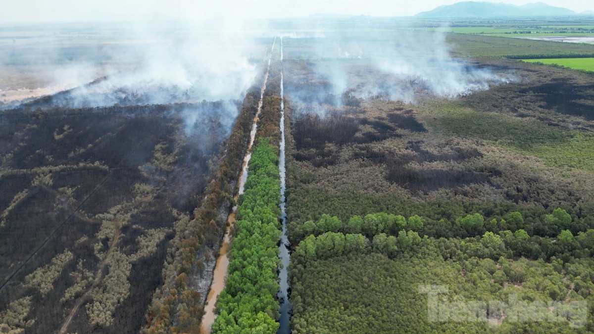 Gần 100 giờ chiến đấu với giặc lửa , khống chế vụ cháy rừng ở Kiên Giang