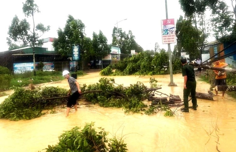 Gói thầu 28 tỷ khắc phục hậu quả thiên tai tại Lâm Đồng 2 nhà thầu bị loại vì không trung thực