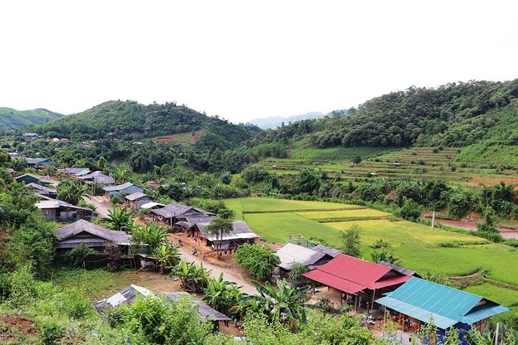 Công ty Cổ phần Xây dựng và Dịch vụ thương mại Thành Đạt bị xác định kê khai nhân sự và thiết bị không trung thực