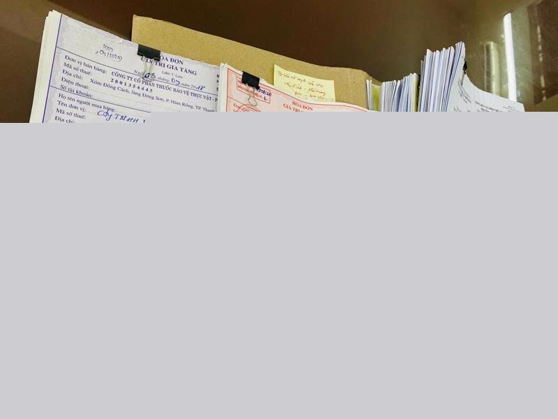 Dùng 58 công ty ma mua bán hóa đơn khống trị giá hơn 6 000 tỷ đồng