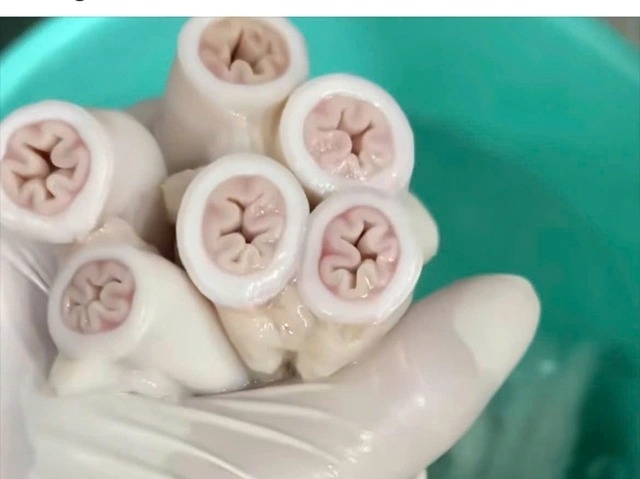 Vụ lòng xe điếu  TP HCM đang lấy mẫu kiểm nghiệm