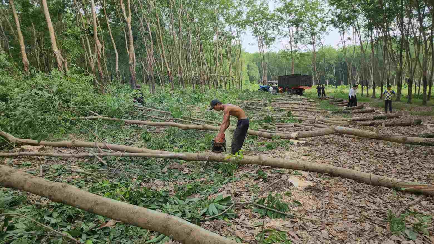 Diễn biến mới nhất về những lùm xùm đấu thầu xây dựng cao tốc ở Bình Phước
