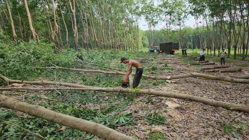 Diễn biến mới nhất về những lùm xùm đấu thầu xây dựng cao tốc ở Bình Phước