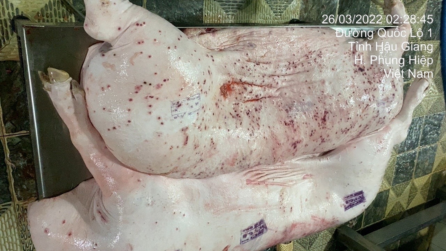 C P Việt Nam lên tiếng về 2 mảnh thân thịt heo nghi nhiễm bệnh gửi trên nhóm Zalo