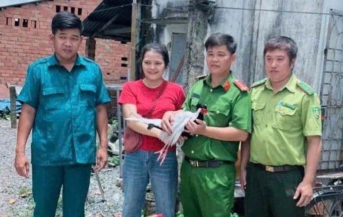 Bắt được gà lôi trắng trong rừng cao su