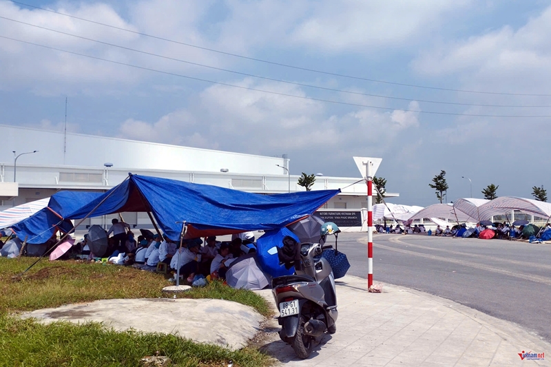 1 238 công nhân ngừng việc tập thể, Sở Nội vụ Phú Thọ báo cáo gì