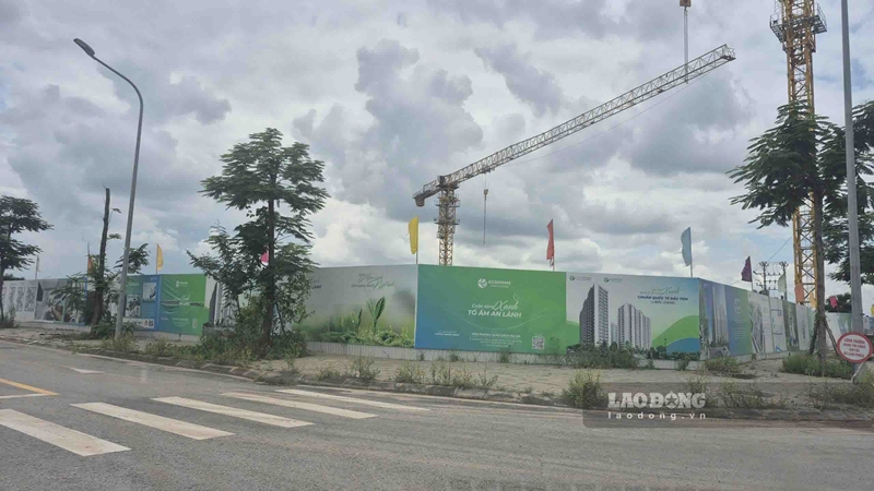 Bắc Ninh rà soát các thông tin liên quan dự án Ecohome Sông Thương