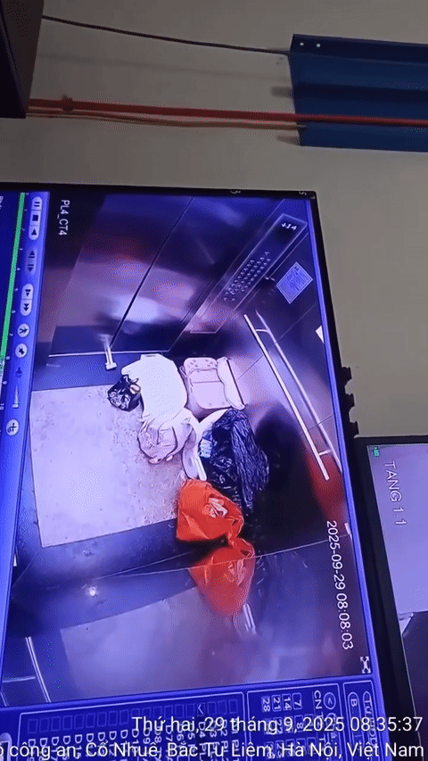 Hành động gây bức xúc của người phụ nữ tại thang máy chung cư ở Hà Nội