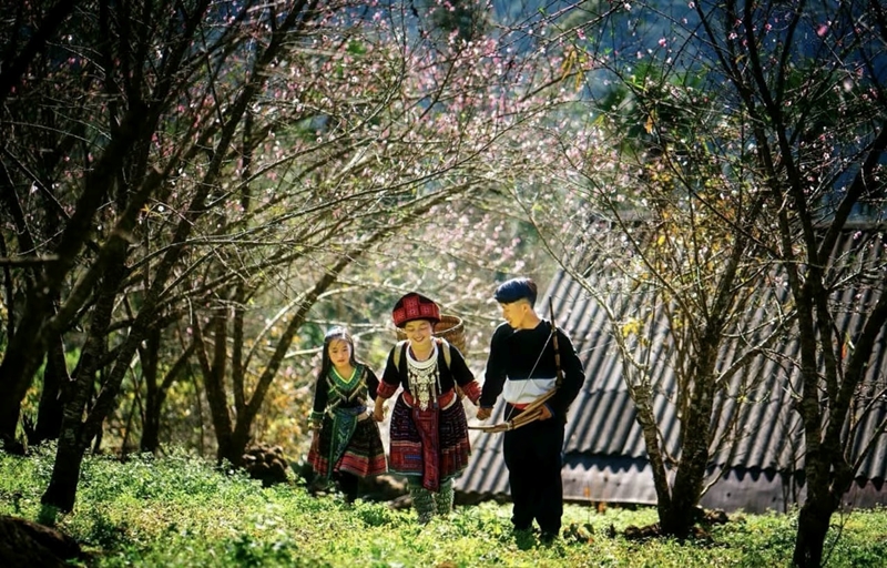 Vẻ đẹp các thôn làng du lịch Việt Nam được thế giới tôn vinh