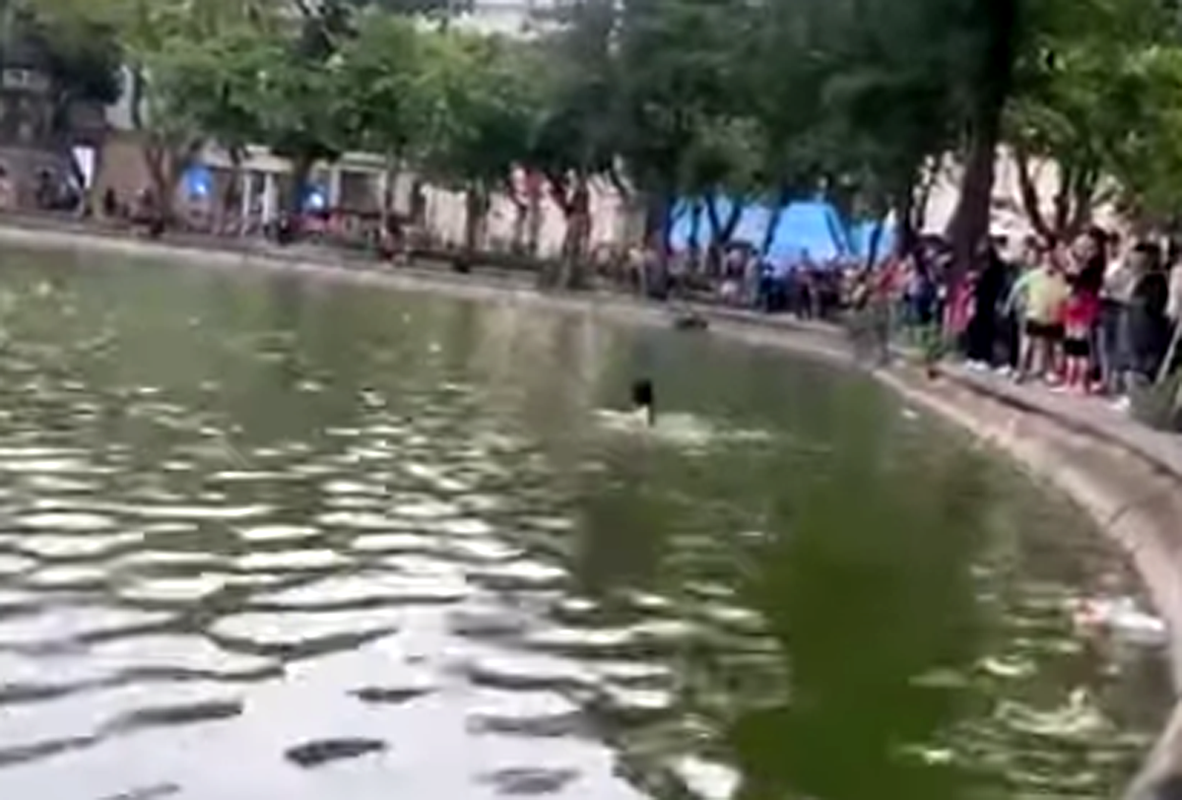 Thông tin vụ cô gái đuối nước tử vong ở hồ Hoàn Kiếm