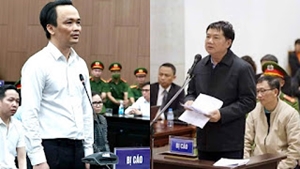 Bóng tối và ánh sáng sau song sắt