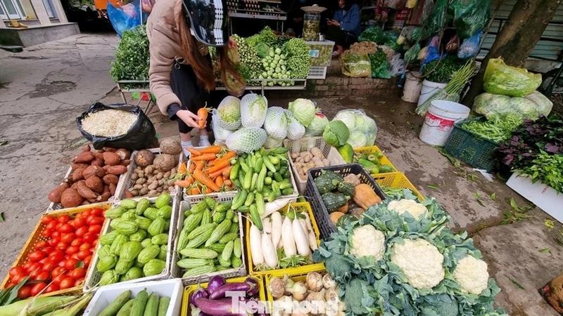Rau củ đắt hơn thịt, người Hà Nội choáng như bị móc túi