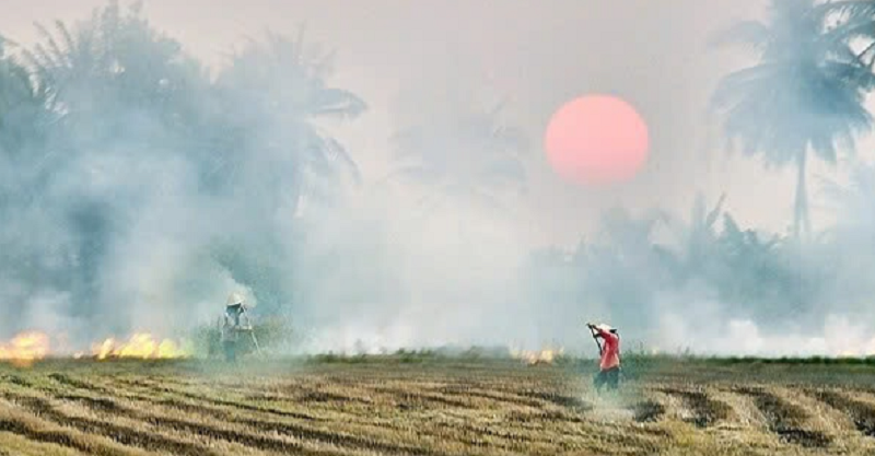 Nhớ sao mùi khói đốt đồng