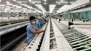 Không thực hiện cam kết, Bắc Hải Việt Nam bị nêu tên trên hệ thống đấu thầu quốc gia