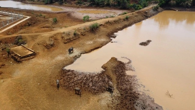 Đồng Nai hủy thầu gói thầu cải tạo suối chống hạn ở Lộc Ninh