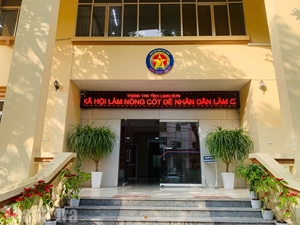 Thanh tra tỉnh Lạng Sơn Yêu cầu Công ty TNHH MTV Thương mại và Dịch vụ Đồng Đội nộp tiền sai phạm trên 1 tỷ đồng