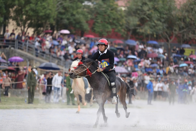 Khai mạc Festival Cao nguyên trắng Bắc Hà 2026