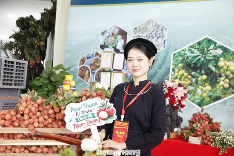 Vải thiều Bắc Ninh Từ trái ngọt quê nhà đến thị trường toàn cầu