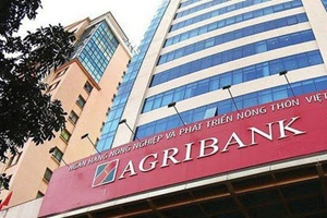 Agribank rao bán khoản nợ của một thẩm mỹ viện, hé lộ 3 lô đất thế chấp hơn 1 000m2